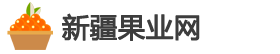 新疆果业网